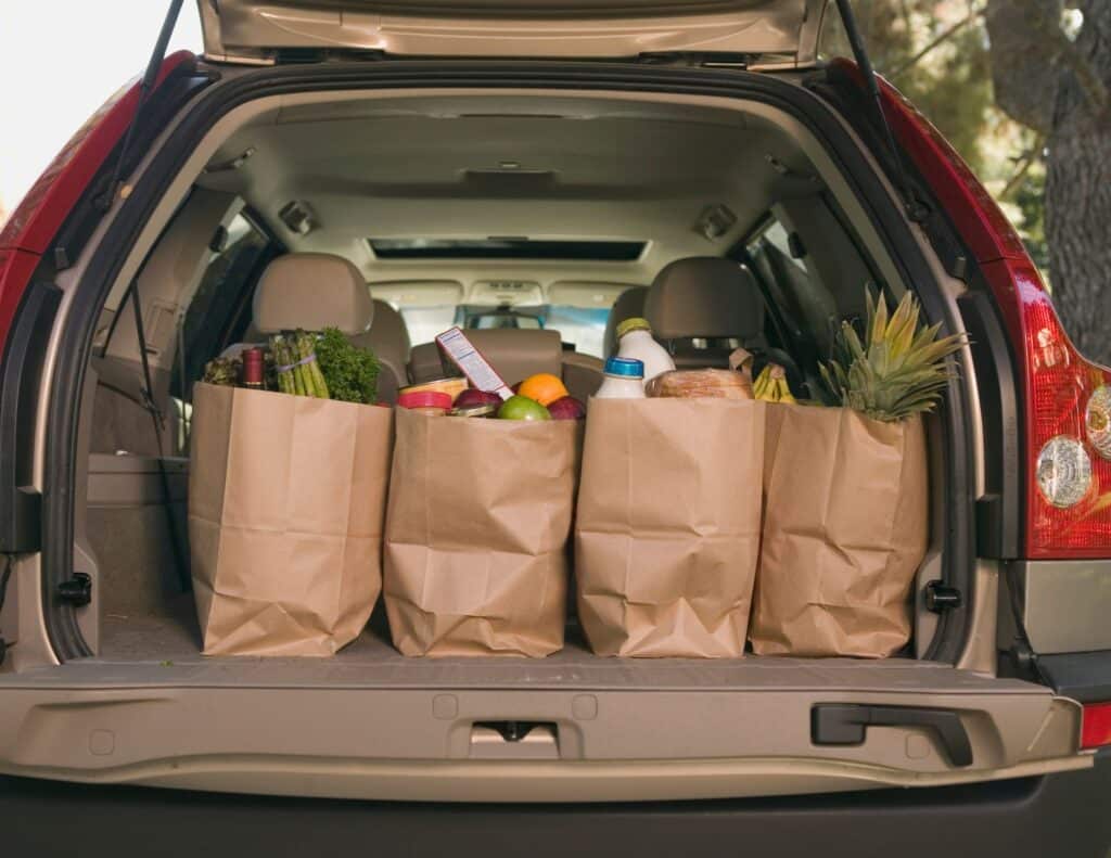 bags of groceries in the back of a vehicle - is canning worth it