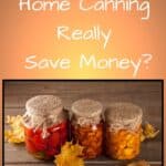 Three canning jars with decorated lids with the title, "Does Home Canning Really Save Money?"