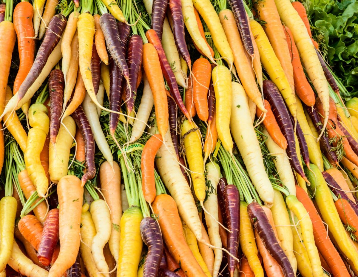 lots of different varieties of carrots - cheapest food to buy.