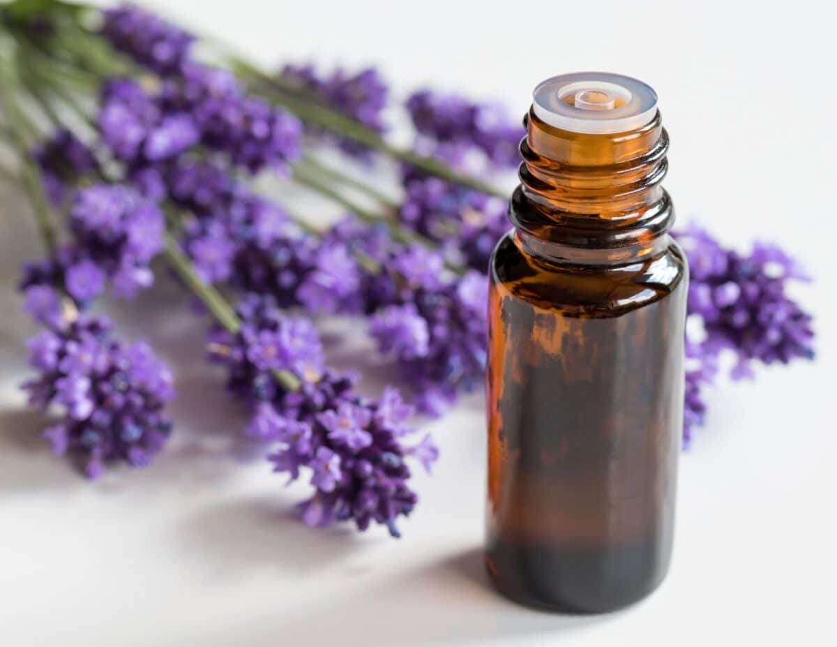 A bottle of essential oil with lavender flower next to it - homemade laundry detergent.