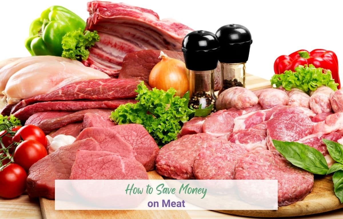 How to Save Money on Meat and Stay in Budget in 2024