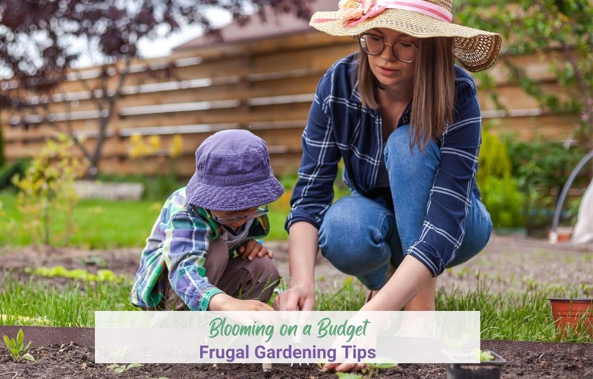 Blooming on a Budget: Frugal Gardening Tips
