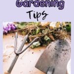 Discover practical and cost-effective gardening advice to create a flourishing garden without breaking your piggy. 🌱 Save money while growing your green oasis with these frugal gardening tips. 🌼🌿