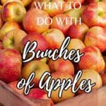 Apples with the title, "What to Do with Bunches of Apples: Ultimate Guide."