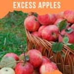 A basket of apples and overflowing of apples with the title "What to do with Excess Apples".