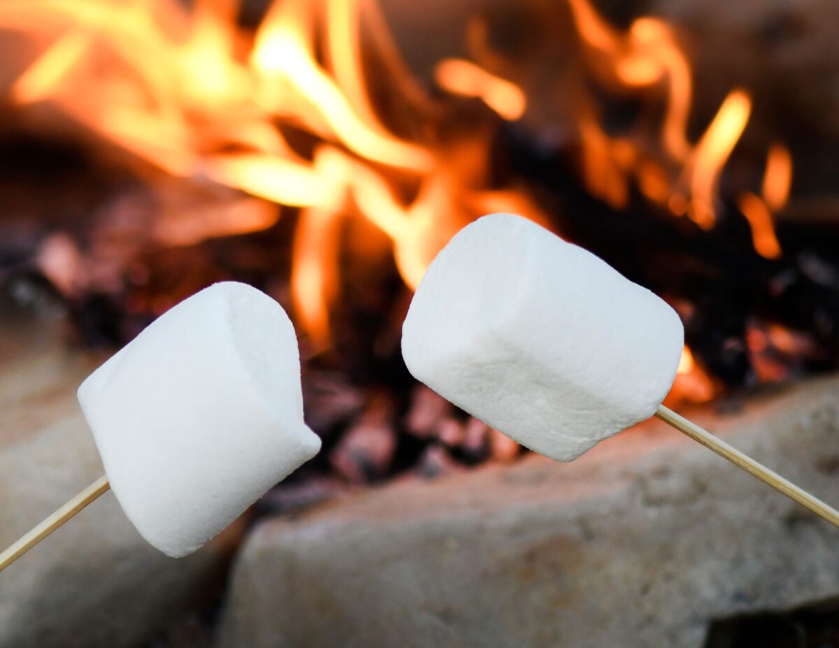 Two skewers with marshmallows with a fire in the background - budget-friendly fall activities
