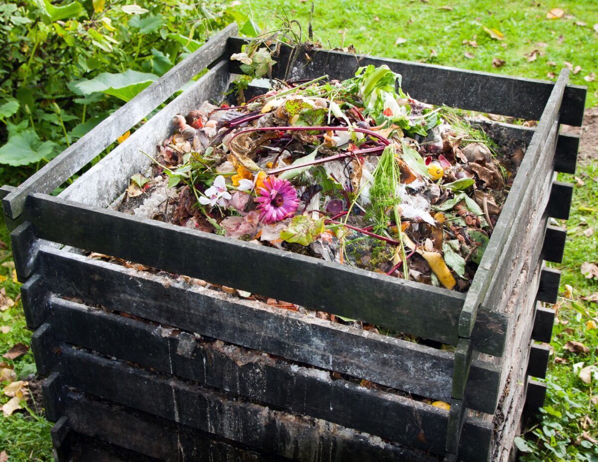 A compost with vegetable scraps on top - frugal gardening tips.