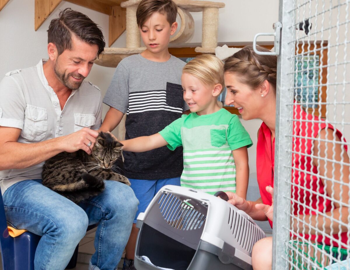 A family at a pet shelter is petty a cat - ways to save on cat costs.