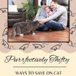 Family on the floor petting their cat with the title, "Purrfectively Thrifty: Ways to Save on Cat Costs".