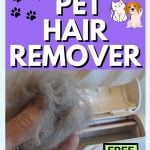 A hand holding a clump of pet hair near a pet hair remover roller, illustrating a method for cleaning pet hair from clothes and furniture.