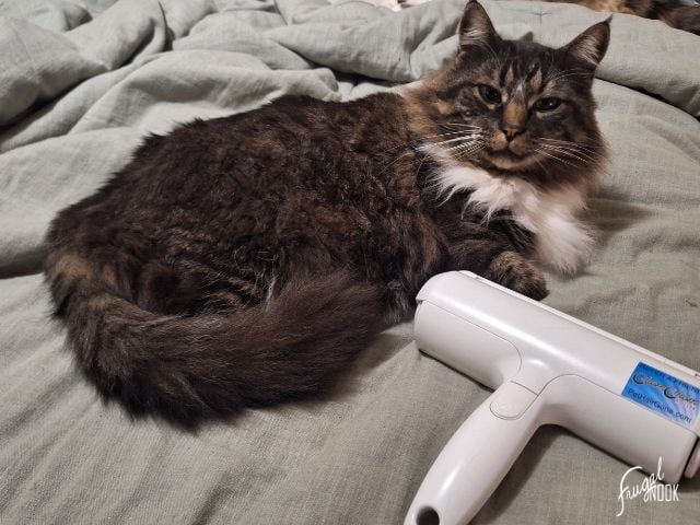 a long haired cat and the ChomChom Roller