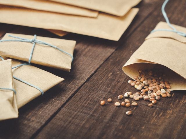 seed packets - baby shower favors
