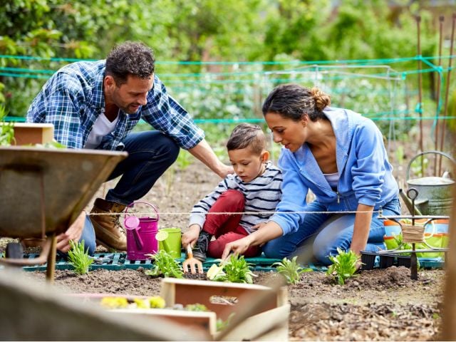 a woman, man and child are planting plants - family traditions