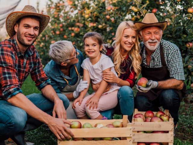 a group of people are sitting next to crates of apples - family traditions